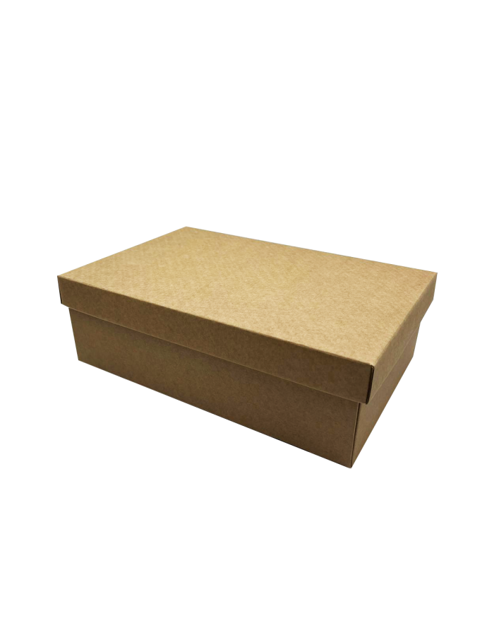 Caja de cartón con tapa 30x20x10 cm