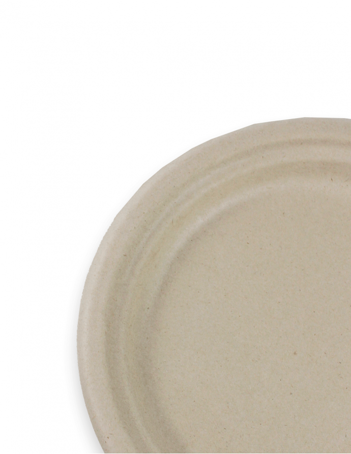 Plato de caña de azúcar 22 cm 50 uds