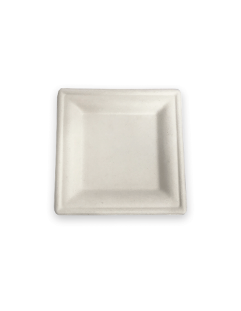 Plato de caña de azúcar 20x20 cm 50 uds