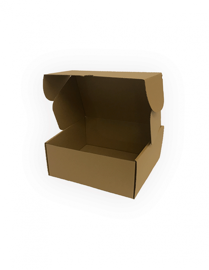 Caja ecommerce 22x15,5x9,5 cm 10 uds