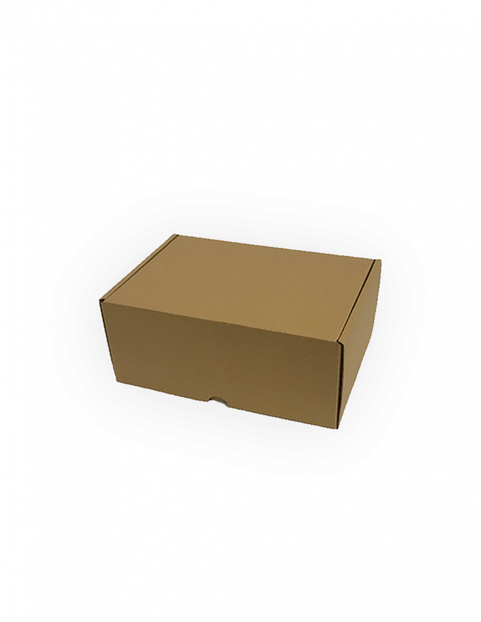 Caja ecommerce 22x15,5x9,5 cm 10 uds