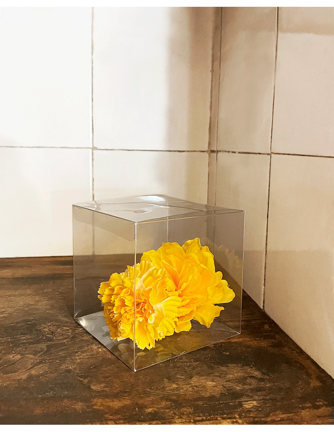 Caja transparente 12x12x12 cm 10 uds