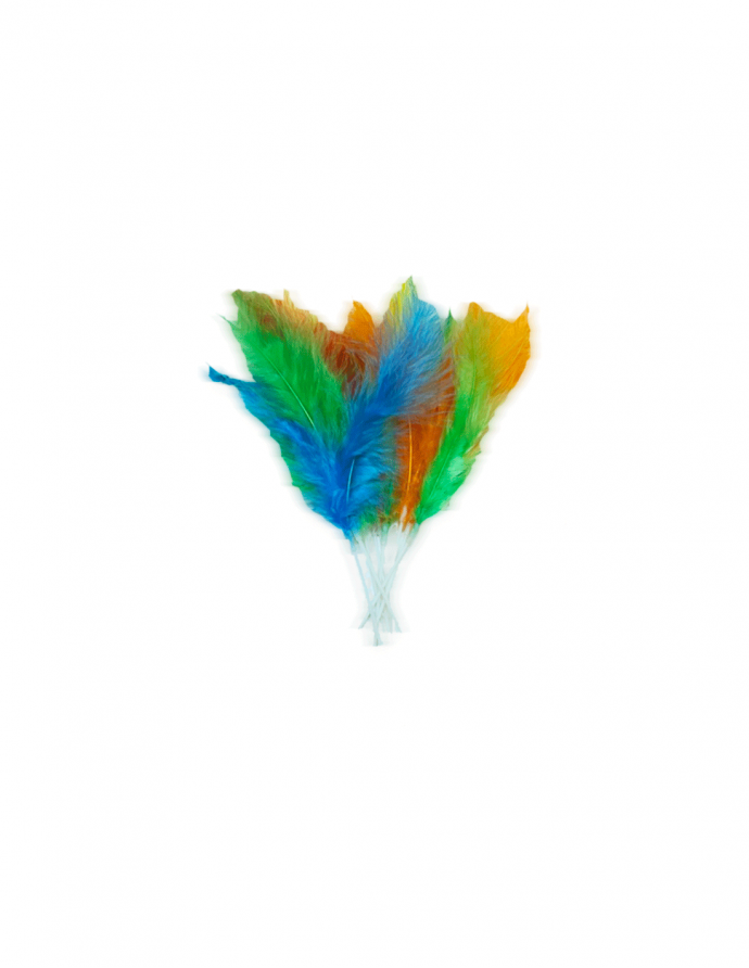 Surtido de plumas dobles de 12 cm....
