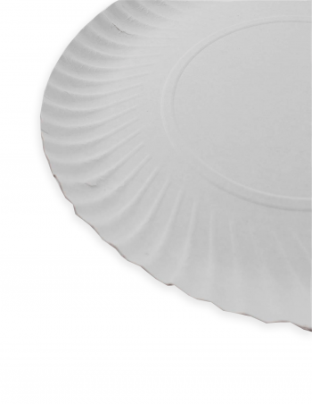 Plato cartón blanco 30 cm 100 uds 2