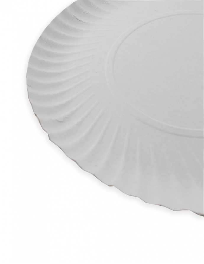 Plato cartón blanco 21 cm 100 uds