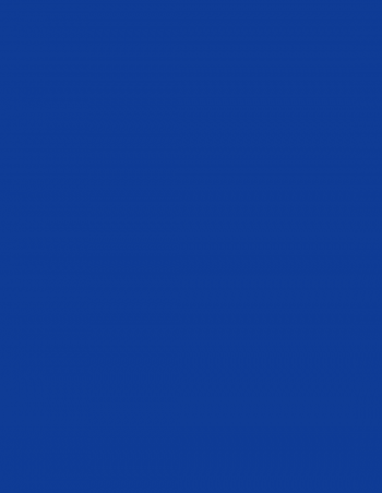 Bolsa especial disfraces 50x60 cm. Varios colores 2