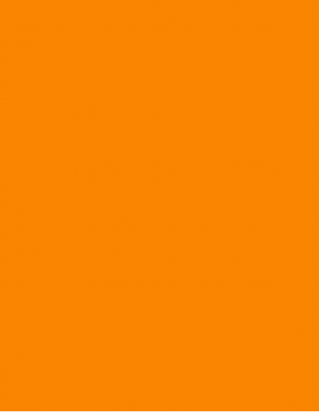 Bolsa especial disfraces 50x60 cm. Varios colores