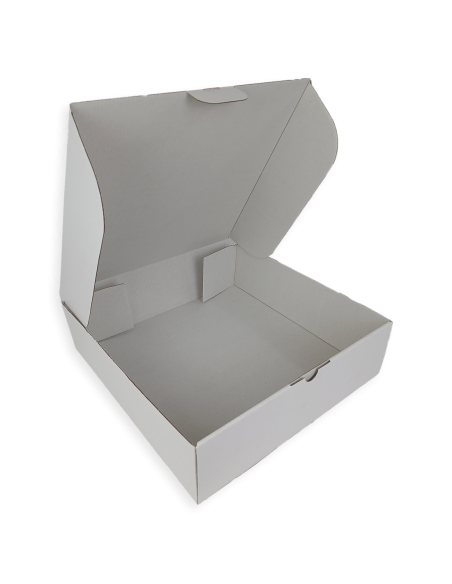 Caja microcanal blanca automontable 26x26x9cm