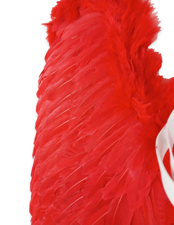 Alas de ángel c/rojo plumas. 65x65cm 2