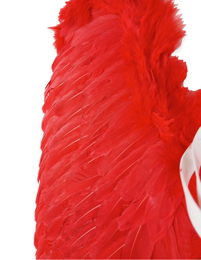 Alas de ángel c/rojo plumas. 65x65cm