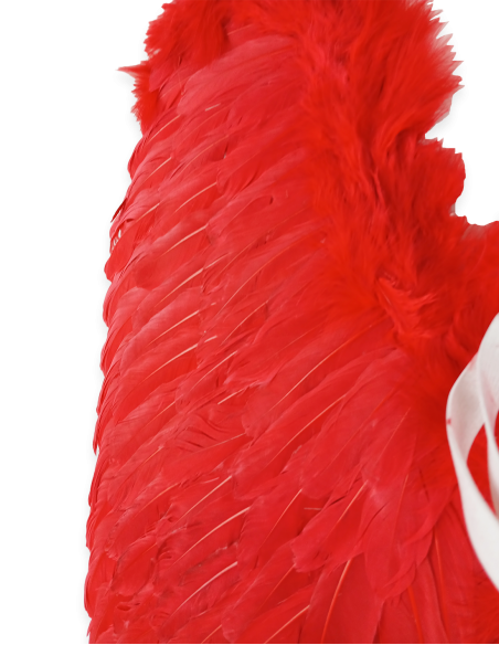 Alas de ángel c/rojo plumas. 65x65cm