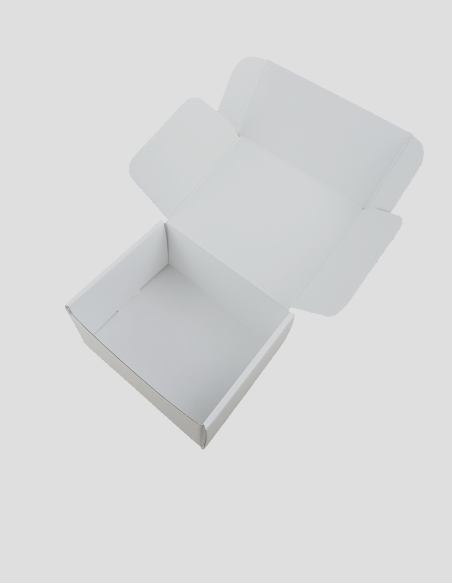 Caja aut. Kraft blanco 485g.155X120X80mm.10U