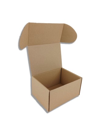 Caja Cartón Automontable 165x126x90 mm. 10 Unid.