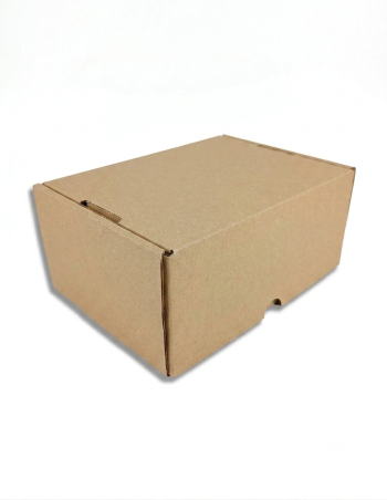 Caja Cartón Automontable 250x180x105 mm | Pack 10 Unidades
