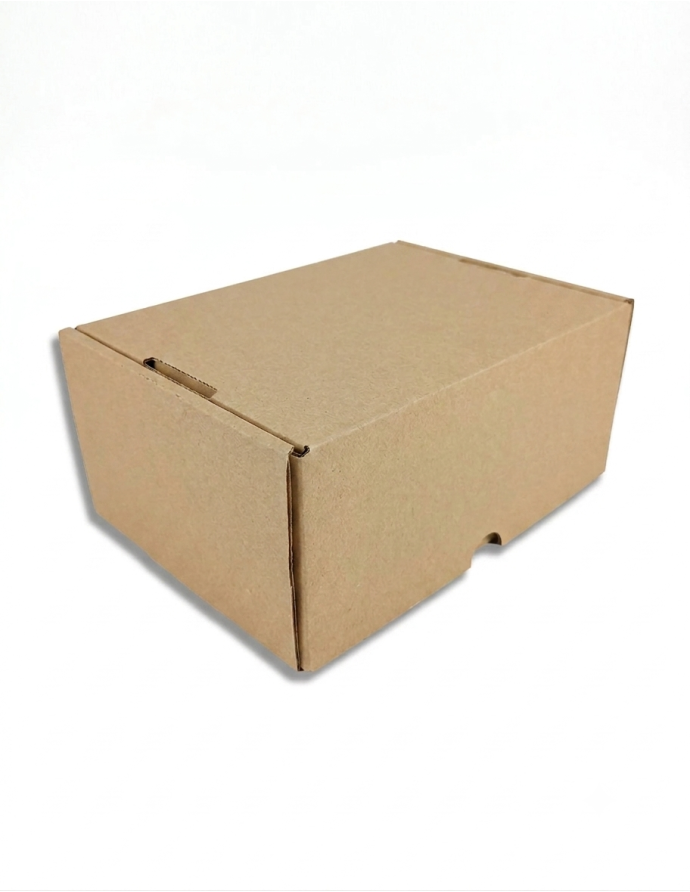 Caja Cartón Automontable 250x180x105 mm | Pack 10 Unidades
