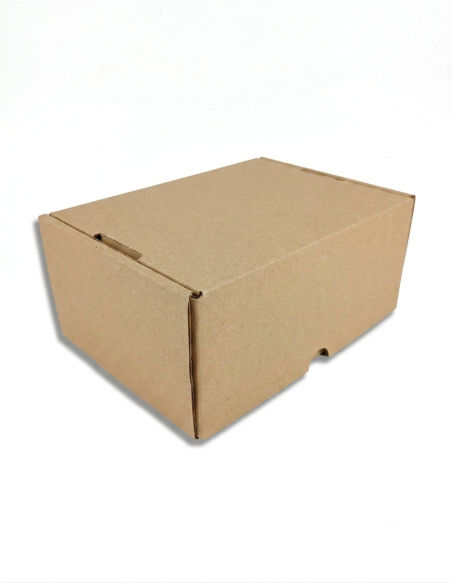 Caja Cartón Automontable 250x180x105 mm | Pack 10 Unidades