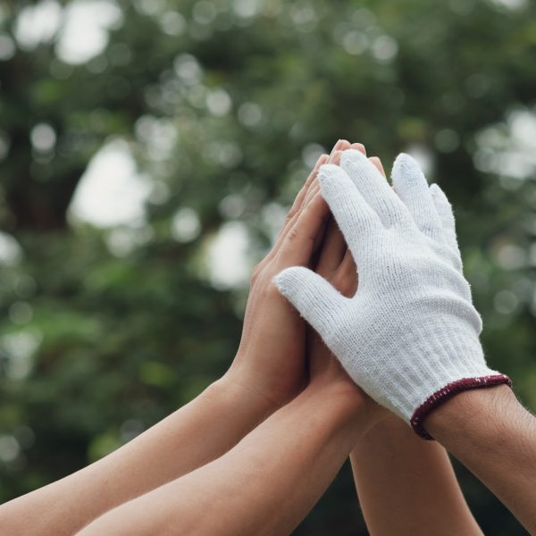 El Compromiso sostenible de La bolsera: Un packaging responsable para un futuro mejor