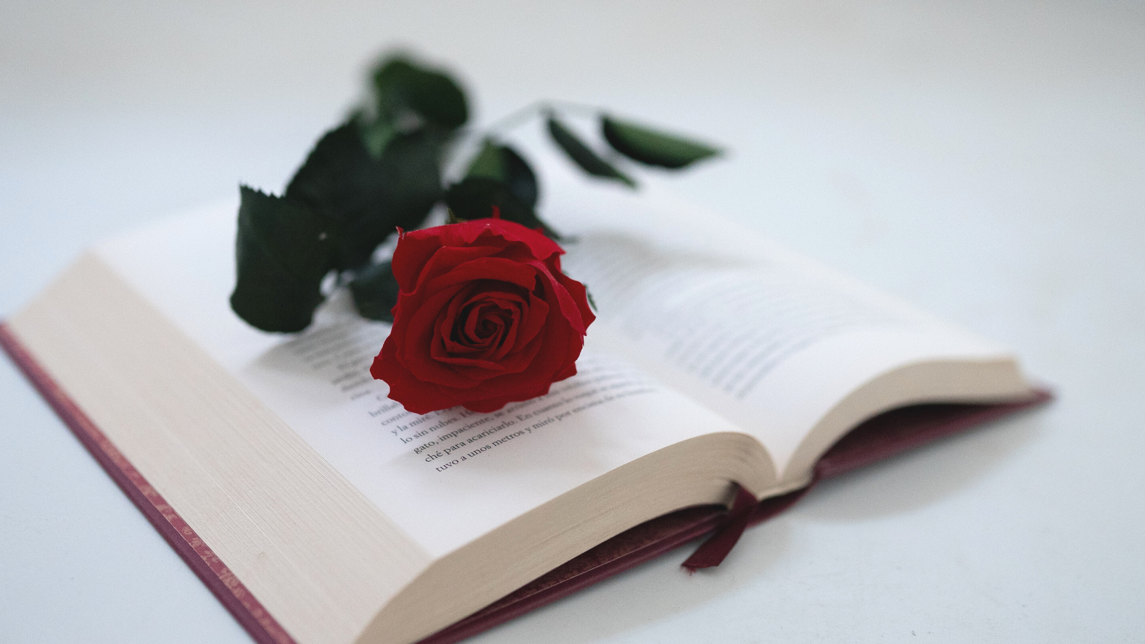 Celebra el Sant Jordi con productos La Bolsera