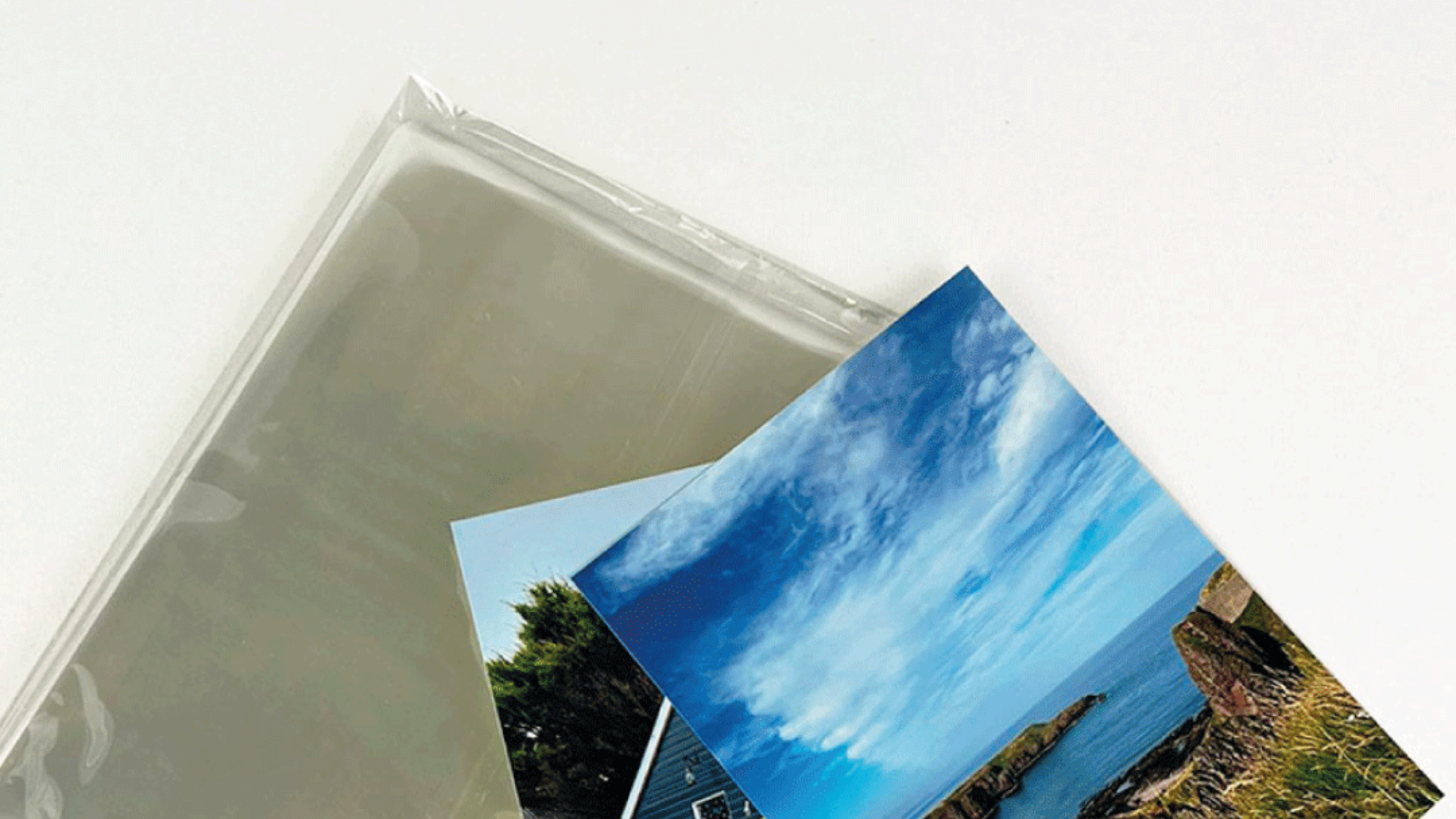 Las bolsas de polietileno y polipropileno… ¡Ahora con precios más bajos en La Bolsera!